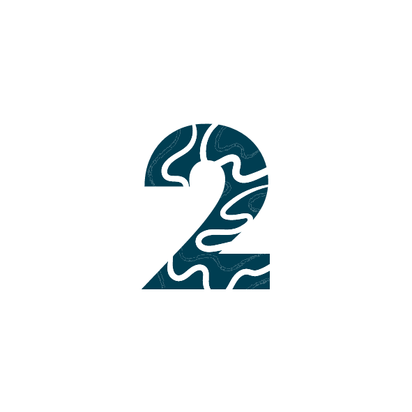 Number two icon