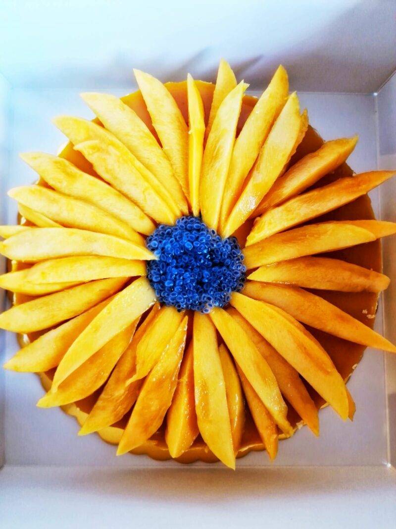 Mrunal - mango cheesecake